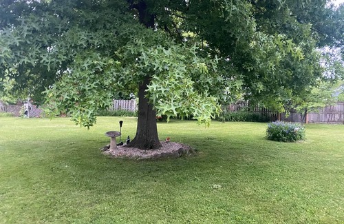 Geneva-on-the-Lake Kabine | Private cabin that sits on fenced in one acre lot. (Dog friendly)