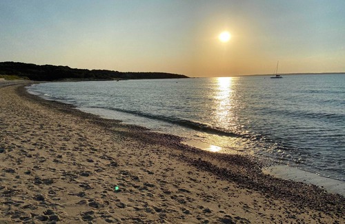 West Tisbury Haus | Private cottage nestled in center of the Vineyard