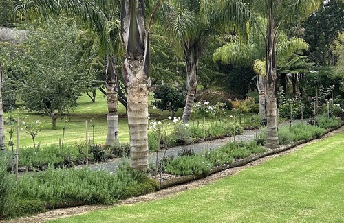 Kerikeri Hütte | Private Cottage with garden ambience close to Kerikeri/Bay of Islands.