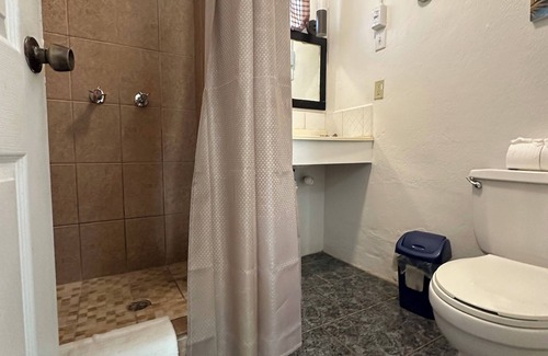 Hopkins Hotel | Dschungelzimmer - All Seasons Guest House
