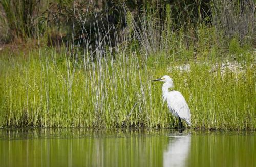 Cape May Court House Haus | Private Lakefront Retreat The Cottage at Haven