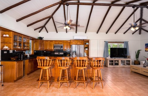 Placencia Wohnung | Private Oceanfront 4-Bed Villa w/Pool on Huge Lot