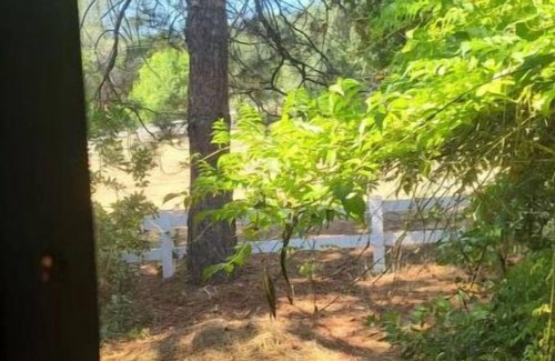 Rackerby Haus | Private Room in House w Heated Pool, Hot Tub, Sauna, Game Room, Beautiful Nature