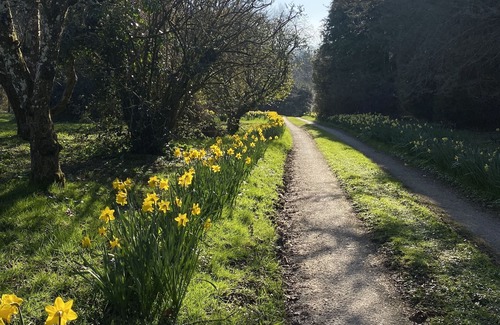 Eleighwater Kabine | Private Shepherd’s Hut