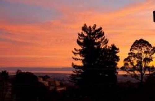 Berkeley Wohnung | Private studio in Berkeley Hills