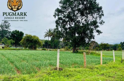 Masinagudi Haus | Pug Mark Jungle Resort - Masinagudi