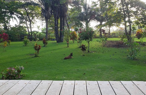 Carate Kabine | Pure Nature, 3 kilometers away from Corcovado Park, La Leona Station
