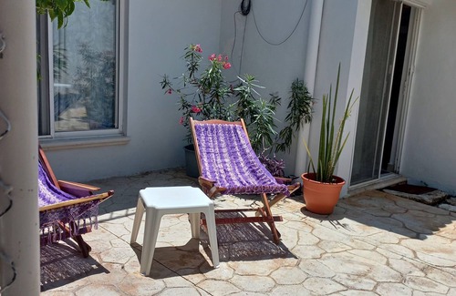 Colonia Adolfo Lopez Mateos Wohnung | PURPLE LOTUS COZUMEL fibre optics WIFI, A/C Pool. Walking distance to town.