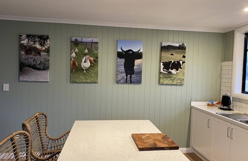Budgee Budgee Kabine | Q1 on Crestview, Adorable 1 Bedroom Farm Stay Cabin