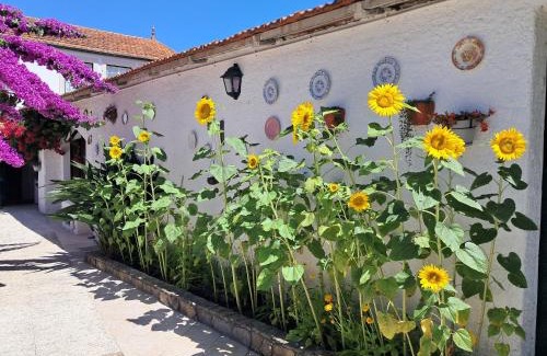 Paco Haus | QM - Quinta da Morgadinha - Casa em Quinta Rural