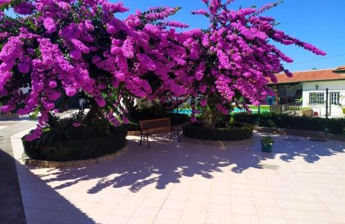 Paco Haus | QM - Quinta da Morgadinha - Casa em Quinta Rural