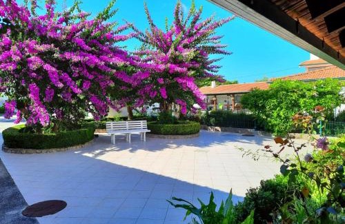 Paco Haus | QM - Quinta da Morgadinha - Casa em Quinta Rural