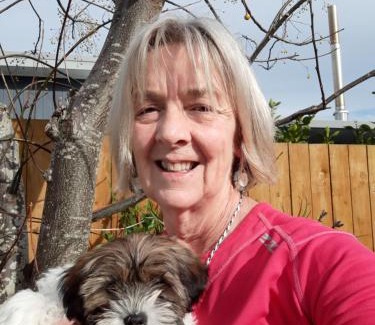 Mangawhai Heads Wohnung | Quail's Nest