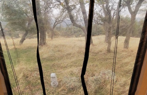 Cedar Ridge Haus | Quaint 1-bedroom RV in Auburn with WiFi access