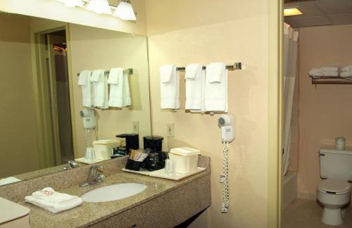 Big Rapids Hotel | Quality Inn & Suites Big Rapids near University