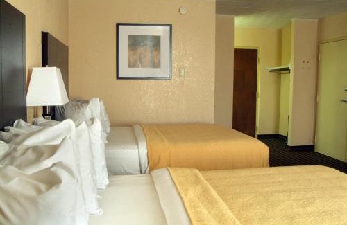 Big Rapids Hotel | Quality Inn & Suites Big Rapids near University