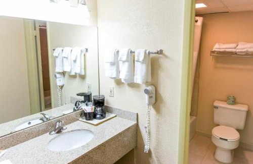 Big Rapids Hotel | Quality Inn & Suites Big Rapids near University