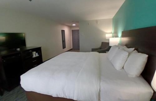 Houma Hotel | Quality Inn & Suites Houma