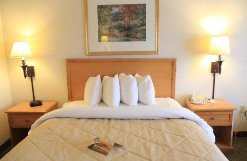 Lodi Hotel | Quality Inn & Suites Lodi I-90