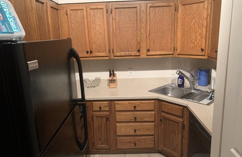 Near Southside Wohnung | Quant Apt in the ❤️ Of historic St. Louis Soulard