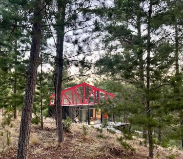 Navidad Haus | Quebrada Pupuya, una cabaña en medio del bosque