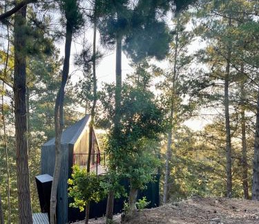 Navidad Haus | Quebrada Pupuya, una cabaña en medio del bosque