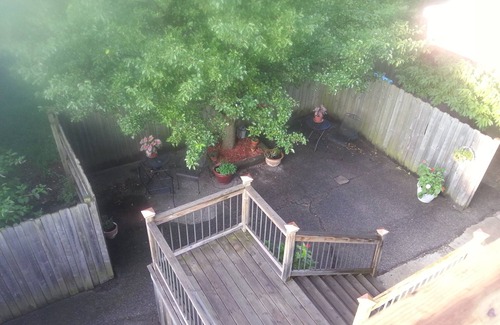 Stuart Wohnung | Quiet, Bright, and Spacious Apartment in Historic District.