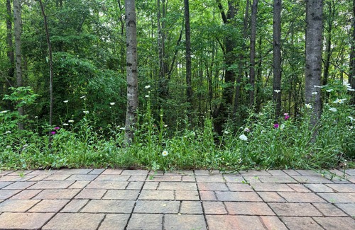 Buford Haus | Quiet, Cozy Bedroom + Living Room in Buford with AC