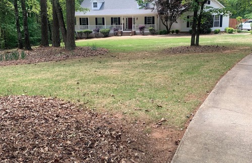 Newnan Haus | Quiet house with huge pool