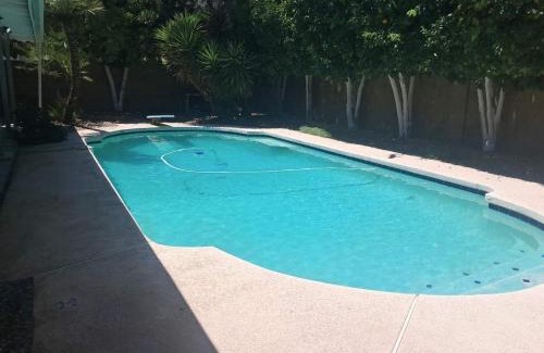 Clearview Haus | Quiet house with pool heater, patio, BBQ, citrus