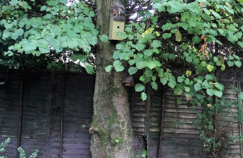 Droylsden Sonstige | Ruhiger Rückzugsort 20 Minuten von der Stadt, 10 Minuten von der Autobahn entfernt,