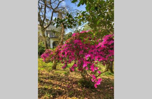 Ulgueira Wohnung | Quinta biológica, com vista, na Serra de Sintra
