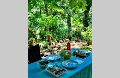 Ulgueira Wohnung | Quinta biológica, com vista, na Serra de Sintra