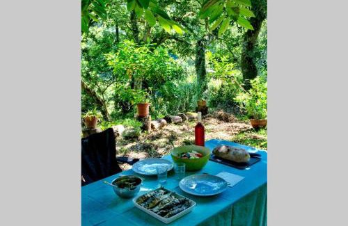 Ulgueira Wohnung | Quinta biológica, com vista, na Serra de Sintra