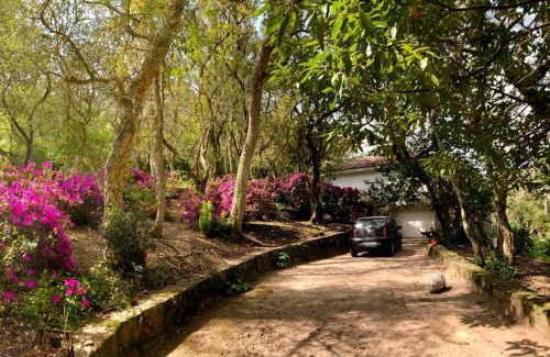Ulgueira Wohnung | Quinta biológica, com vista, na Serra de Sintra