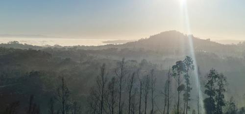 Leiria Haus | Quinta da Chumbaria - heaven on a hilltop, peace and stunning views!