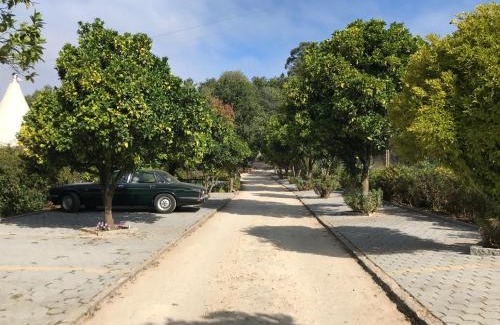 Alquerubim Haus | Quinta da Fontoura