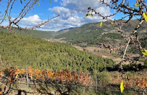 Casas Novas Wohnung | Quinta da Penada - Vineyard & Winery - Suíte 3