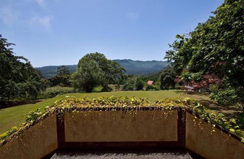 Santo da Serra Haus | Quinta das Colmeias
