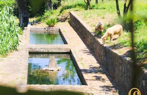 Ponte de Lima Haus | Quinta das Fontes