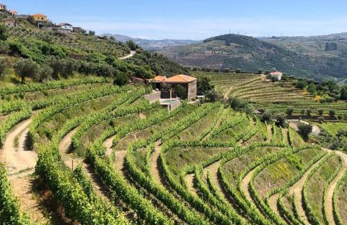 Peso da Regua Haus | Quinta do Barrocal - Casa de Campo