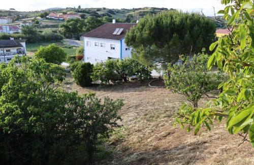 Sapataria Haus | Quinta do Carvalheiro