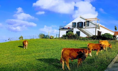 Lajes das Flores Wohnung | Quinta do Calvário