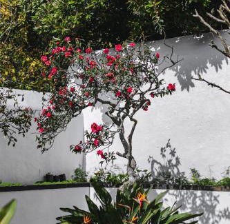 Velas Haus | Quinta dos Mistérios- Turismo de Habitação