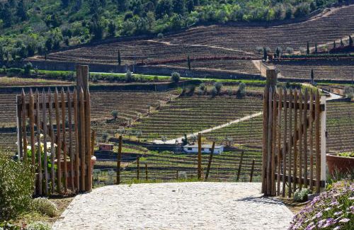 Lamego Wohnung | Quinta dos Padrinhos - Suites in the Heart of the Douro