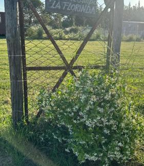 Guernica Haus | Quinta La Florinda