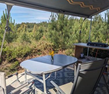 Serta Sonstige | Quinta Lima