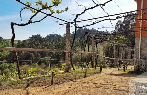 Bico Haus | QV-Puppenhaus- PN Peneda-Gerês