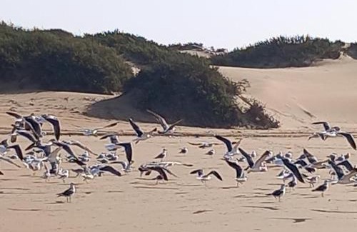 Sidi Ouassay Wohnung | Résidence Fanti