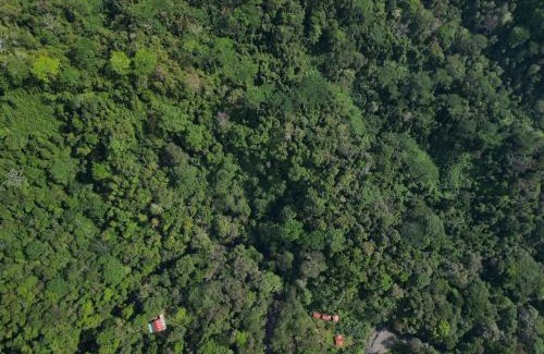 Quebrada La Gamba Kabine | Río Verde Ecolodge